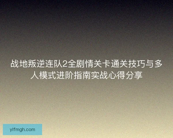 战地叛逆连队2全剧情关卡通关技巧与多人模式进阶指南实战心得分享
